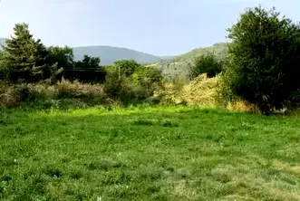 Земеделски имот в Пловдив, с. Добралък