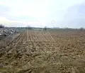 Снимка 2 — Земеделски имот в Пловдив, с. Труд