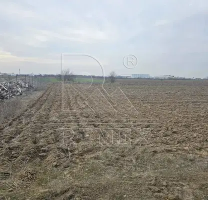 Photo 2 — Agricultural Land in Oblast Plovdiv, Trud