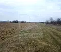 Снимка 4 — Земеделски имот в Пловдив, с. Труд