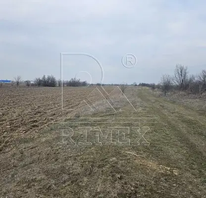 Photo 4 — Agricultural Land in Oblast Plovdiv, Trud