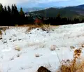 Снимка 4 — Земеделски имот в Смолян, с. Зорница