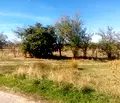 Снимка 4 — Земеделски имот в София, с. Пауново