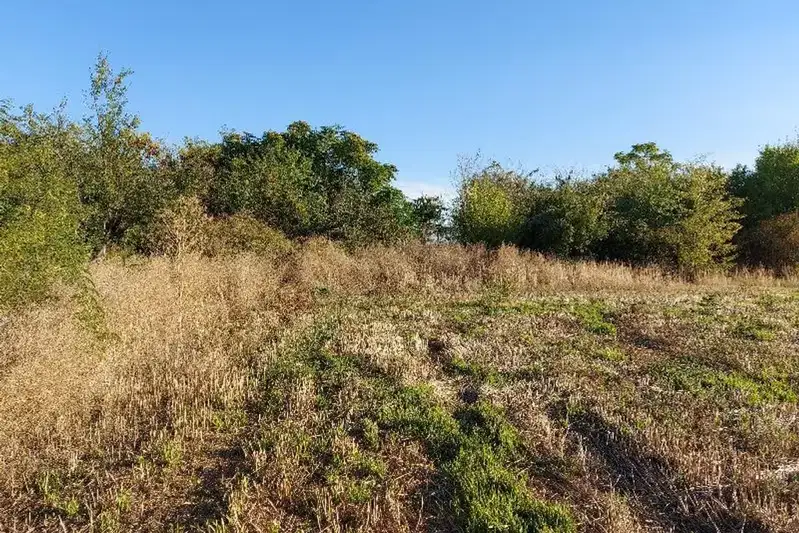 Земеделски имот в Стара Загора, Стара Загора