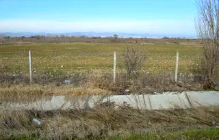 Земеделски имот в Стара Загора, с. Калояновец