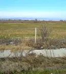Земеделски имот в Стара Загора, с. Калояновец