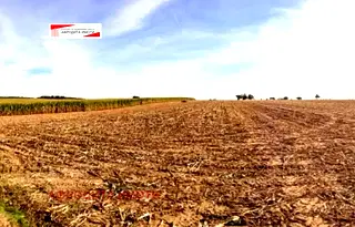 Земеделски имот в Стара Загора, с. Остра могила
