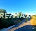 Снимка 4 — Земеделски имот в Пловдив, с. Костиево