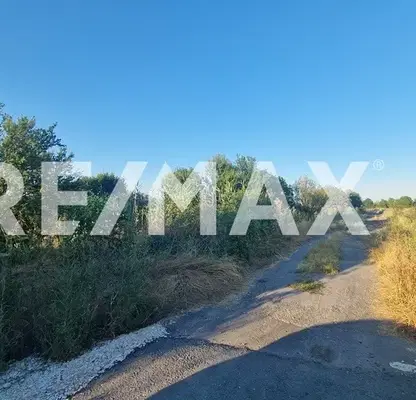 Photo 4 — Agricultural Land in Oblast Plovdiv, Kostievo