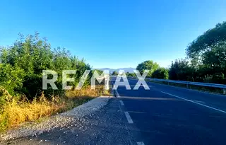 Земеделски имот в Пловдив, с. Костиево
