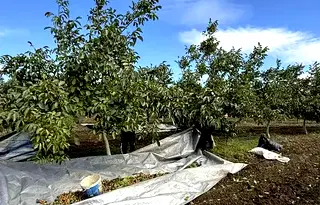 Земеделски имот в Бургас, Каблешково