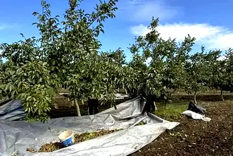 Земеделски имот в Бургас, Каблешково