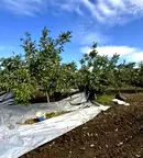 Земеделски имот в Бургас, Каблешково