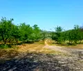 Снимка 4 — Земеделски имот в Ловеч, с. Казачево