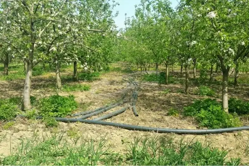 Agricultural Land in Oblast Lovech, Kazachevo