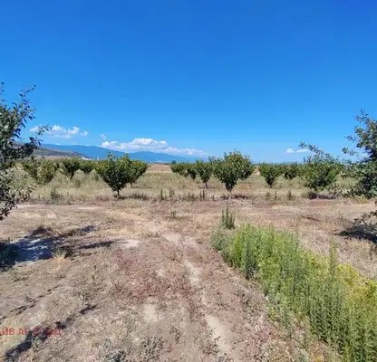 Photo 2 — Agricultural Land in Oblast Pazardjik, Sinitovo