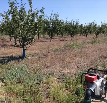 Photo 3 — Agricultural Land in Oblast Pazardjik, Sinitovo