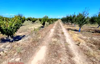 Земеделски имот в Пазарджик, с. Синитово