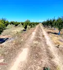 Земеделски имот в Пазарджик, с. Синитово