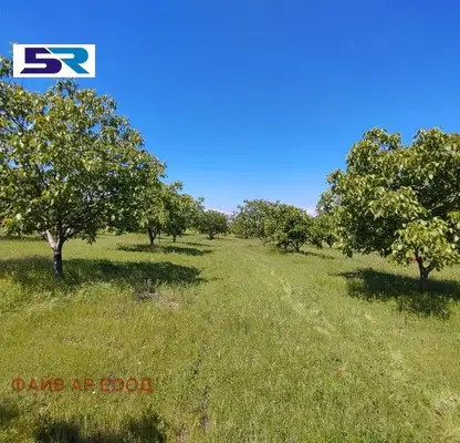 Photo 2 — Agricultural Land in Oblast Pazardjik, Sinitovo
