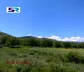Снимка 3 — Земеделски имот в Пазарджик, с. Синитово