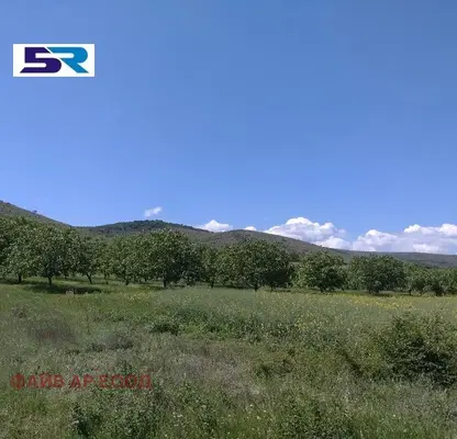 Photo 3 — Agricultural Land in Oblast Pazardjik, Sinitovo