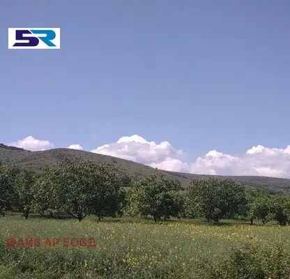 Photo 4 — Agricultural Land in Oblast Pazardjik, Sinitovo