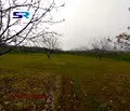 Снимка 5 — Земеделски имот в Пазарджик, с. Синитово