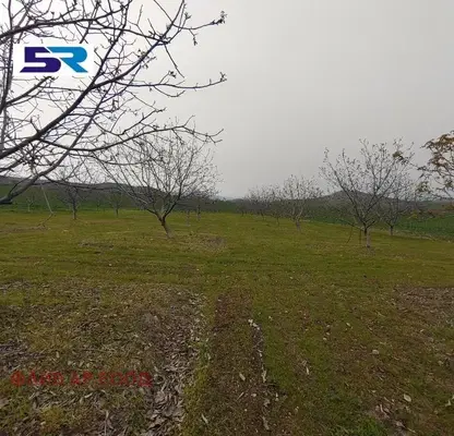 Photo 5 — Agricultural Land in Oblast Pazardjik, Sinitovo