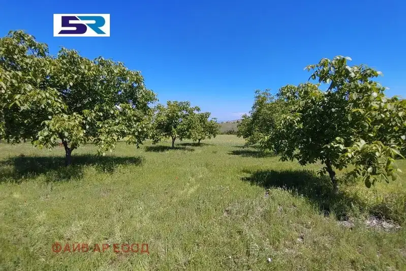 Agricultural Land in Oblast Pazardjik, Sinitovo