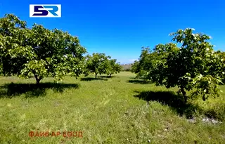 Земеделски имот в Пазарджик, с. Синитово