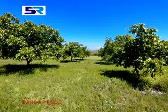Земеделски имот в Пазарджик, с. Синитово