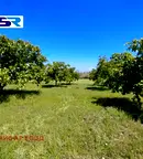 Земеделски имот в Пазарджик, с. Синитово