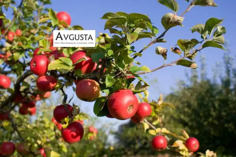 Agricultural Land in Oblast Plovdiv, Hisarya
