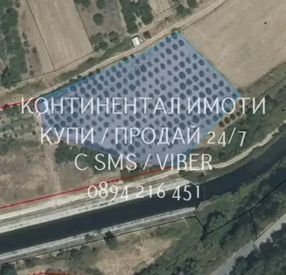 Снимка 2 — Земеделски имот в Пловдив, с. Устина