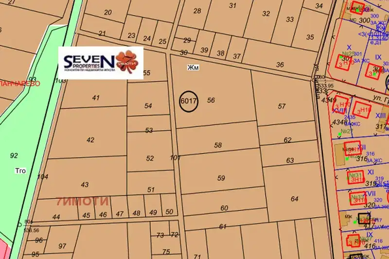 Plot in Krivina