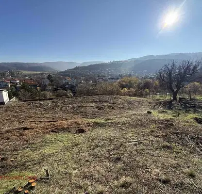 Photo 2 — Plot in Kokalyane