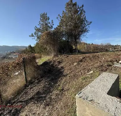 Photo 5 — Plot in Kokalyane