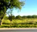 Снимка 3 — Парцел в с. Тополи