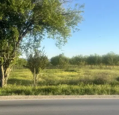 Photo 3 — Plot in Topoli