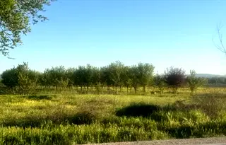 Парцел в с. Тополи