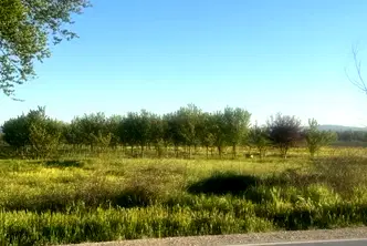 Парцел в с. Тополи