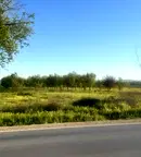 Парцел в с. Тополи