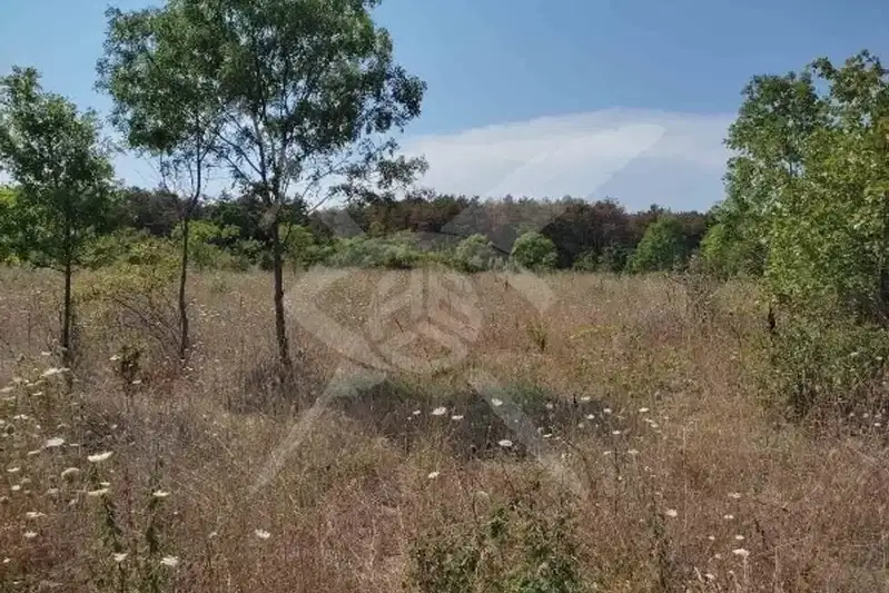 Plot in Izvor