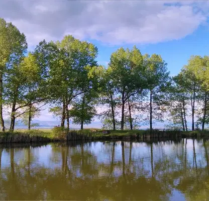 Photo 5 — Plot in Bankya
