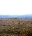 Парцел в с. Железница