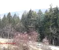Снимка 2 — Парцел в с. Кокаляне