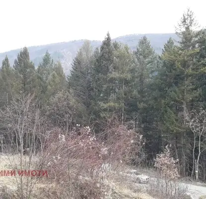 Photo 2 — Plot in Kokalyane