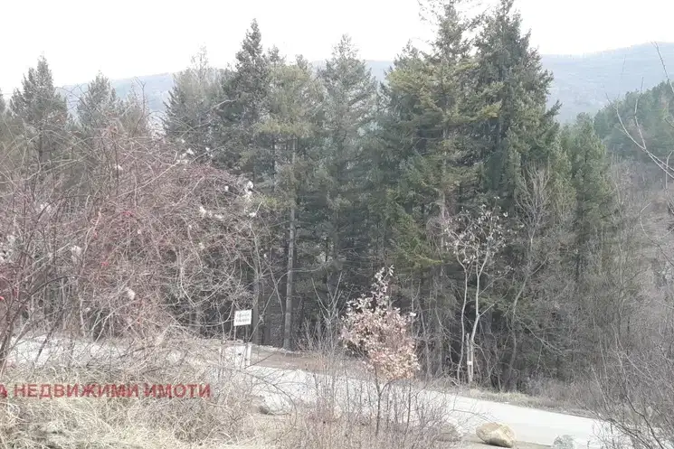 Plot in Kokalyane