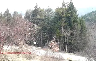 Парцел в с. Кокаляне